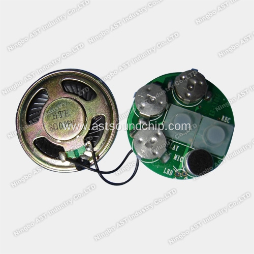 Recordable Sound Chip, Voice Chip, Music IC